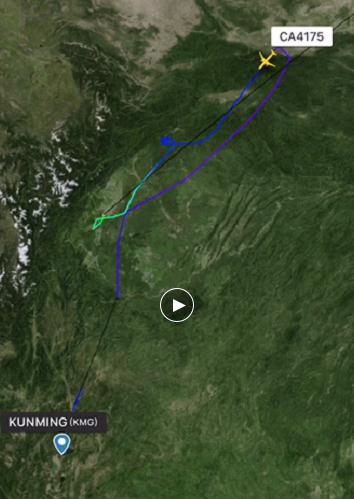 某航旅APP顯示，國航CA4175航班航行途中，調(diào)頭折返備降。 視頻截圖。