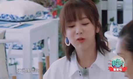 “投喂呆板”上線，秦海璐中餐廳片斷曝光，楊紫因細(xì)節(jié)受點(diǎn)贊